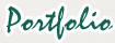 Portfolio Bags